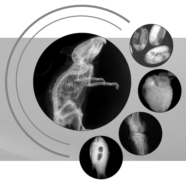 生命科學(xué)研究、小動(dòng)物、種子檢測(cè)
